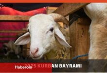 Kurumsal Kurban Bayramı Bildirileri 2025