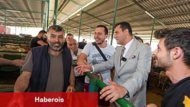 Lider Zeyrek Canlı Hayvan Borsası'nı Ziyaret Etti