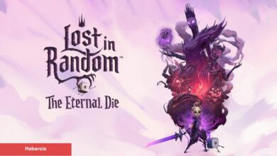 Lost in Random: The Eternal Die - İnceleme Puanları