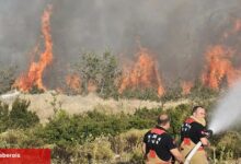 Manisa Büyükşehir Akhisar'daki yangın bölgesinde