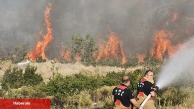 Manisa Büyükşehir Akhisar'daki yangın bölgesinde