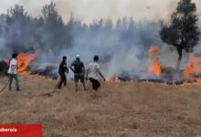 Muğla Büyükşehir takımları 6 Ayda 380 anız yangınına müdahale etti