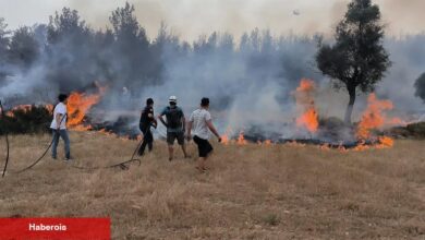 Muğla Büyükşehir takımları 6 Ayda 380 anız yangınına müdahale etti