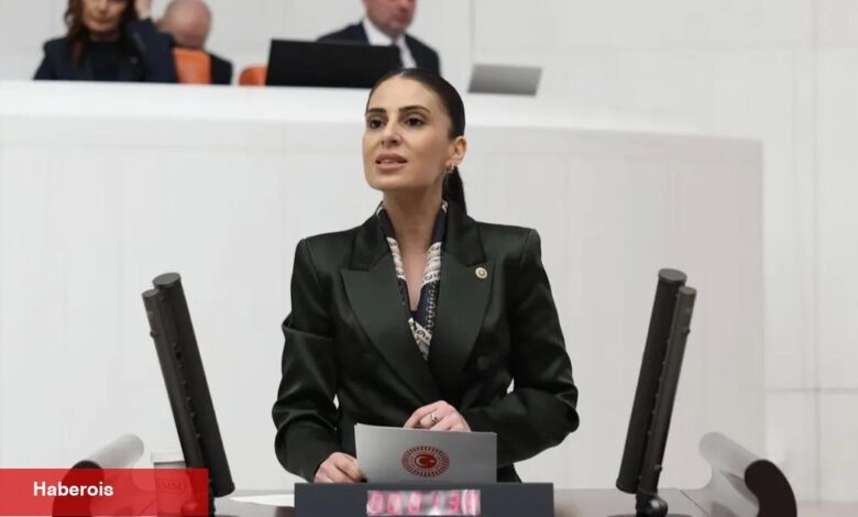 Muğla Yatağan’da Millet Bahçesi krizi! - Haberois Muğla Yatağan’da Millet Bahçesi krizi!