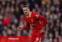 Napoli, Darwin Nunez için Liverpool'la masaya oturuyor