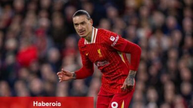 Napoli, Darwin Nunez için Liverpool'la masaya oturuyor