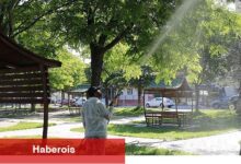 Nevşehir Belediyesi 7/24 İlaçlama Çalışması Yapıyor