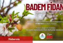 Nevşehir Belediyesi'nden Ücretsiz Badem Fidanı Dağıtımı