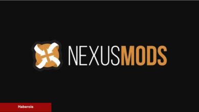 Nexus Mods'un Kurucusu, 24 Yılın Akabinde Vazifesinden Ayrılıyor