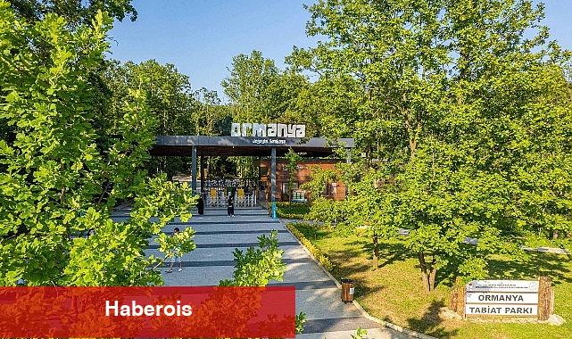 Ormanya'da yaz hazırlıkları tamam - Haberois Ormanya'da yaz hazırlıkları tamam