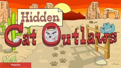 Oynadınız Mı? – Hidden Cat Outlaws