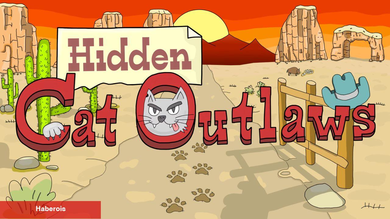 Oynadınız Mı? – Hidden Cat Outlaws