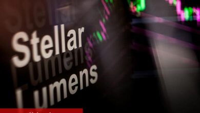 PayPal USD, Yeni Kullanım Alanları İçin Stellar’ı Kullanacak