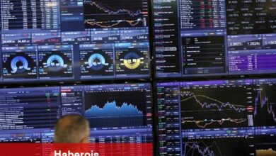 Pinewood, Lithia ile 150 milyon dolarlık muahedede ABD teşebbüsünün tam denetimini alıyor
