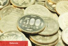 PİYASAYA BAKIŞ- BOJ faiz artırma konusunda temkinli davranacak