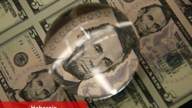 PİYASAYA BAKIŞ-Dolar hala inançlı liman cazibesine sahip