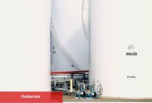 PİYASAYA BAKIŞ-Petrol fiyatlarının yükselmesi doları destekliyor