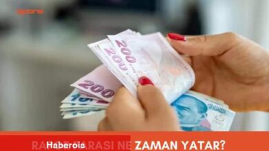 Rapor parası ne vakit yatar? 2025 Rapor parası sorgulama