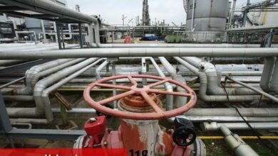Rusya-Ukrayna tansiyonları, OPEC+ üretim artışının tesirini dengeleyerek petrolü yükseltti