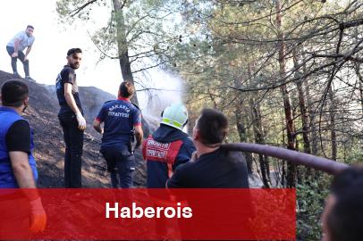 Sakarya’daki orman yangını denetim altında: 3 gözaltı!