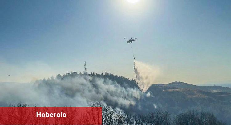Sakarya’daki orman yangını denetim altında: 3 gözaltı!