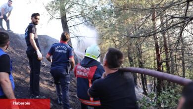 Sakarya’daki orman yangını denetim altında: 3 gözaltı!