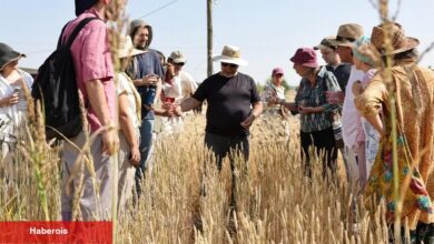 Slow Wheat Şanlıurfa 2025 coşkusu
