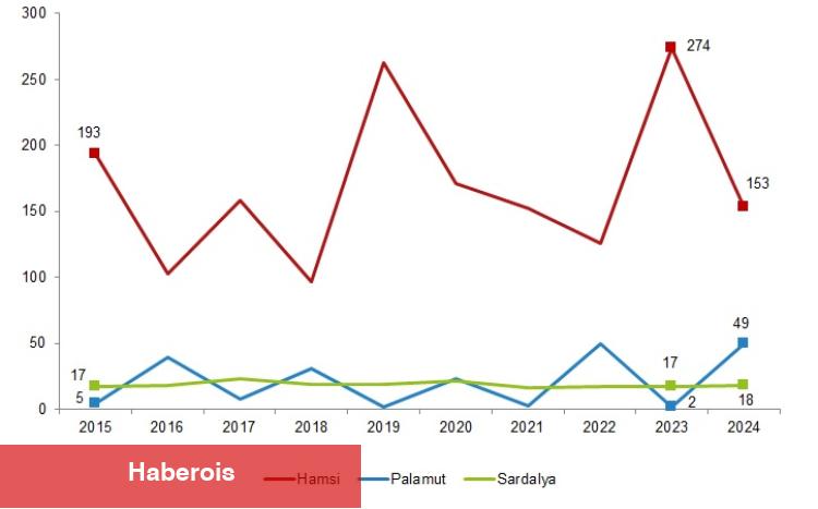 Su eserleri üretimi 2024'te azaldı, yetiştiricilik arttı... En çok hamsi avladık!