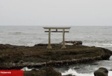 Sucker Punch'tan Ghost of Yōtei İçin Japon Kültürüne Dair Notlar