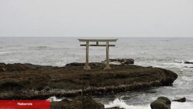 Sucker Punch'tan Ghost of Yōtei İçin Japon Kültürüne Dair Notlar