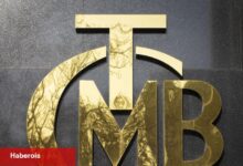 TCMB, iki kuruluşa faaliyet müsaadesi verdi