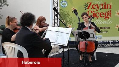 Tirilye'de zeytinin çiçeği açtı, şenlik sokakları sardı