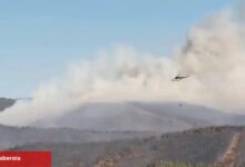 Türkiye'de orman yangınlarında 17 kuşkulu gözaltında