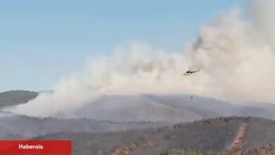 Türkiye'de orman yangınlarında 17 kuşkulu gözaltında