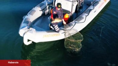 Uluabat Gölü’nde kaçak avcılığa Jandarma darbesi... 346 kilo balık tabiata kazandırıldı