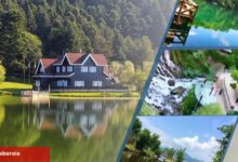 Ulusal Parklar ağır ilgi görüyor