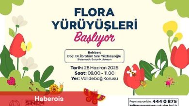 Üsküdar'da Flora Yürüyüşleri Başlıyor