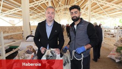 Yeni Kurban Pazarı Alıcının da Satıcının da Yüzünü Güldürdü...