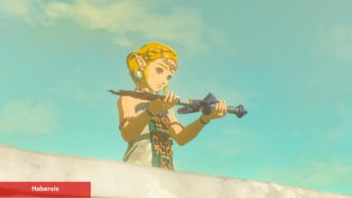 Zelda'nın Beyaz Perde Uyarlaması Şimdiden Erteleme Aldı