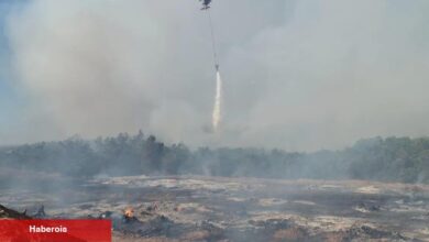 Bursa Orman'dan yangın uyarısı! - Haberois Bursa Orman'dan yangın uyarısı!