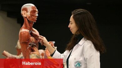 Tıp ve Diş Hekimliği öğrencilerine ezber bozan yan kısım fırsatı! - Haberois Tıp ve Diş Hekimliği öğrencilerine ezber bozan yan kısım fırsatı!